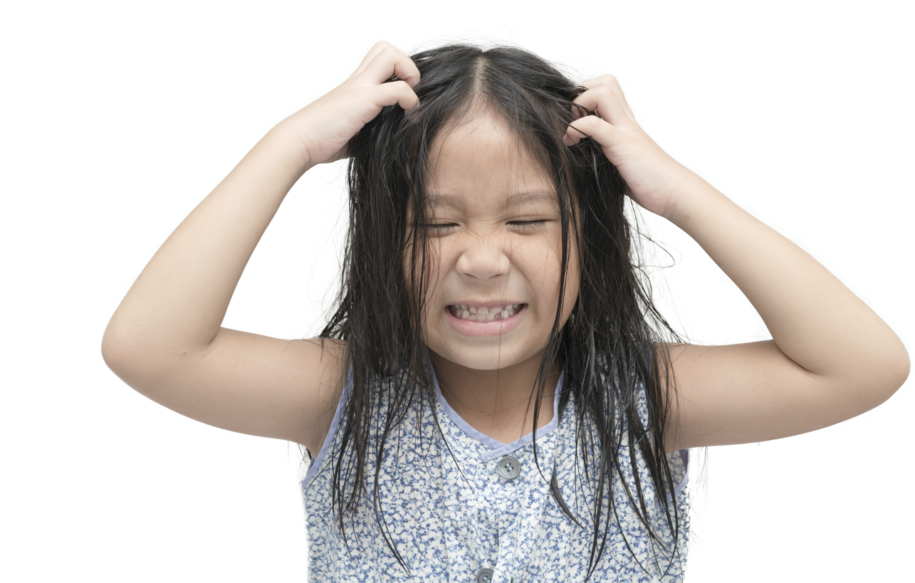 kutu rambut anak, cara menghilangkan kutu rambut, obat kutu rambut anak, pencegahan kutu rambut, Bunda, si Kecil